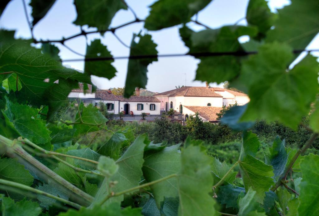 Casa Vacanze Etna Пиедимонте Етнео Екстериор снимка